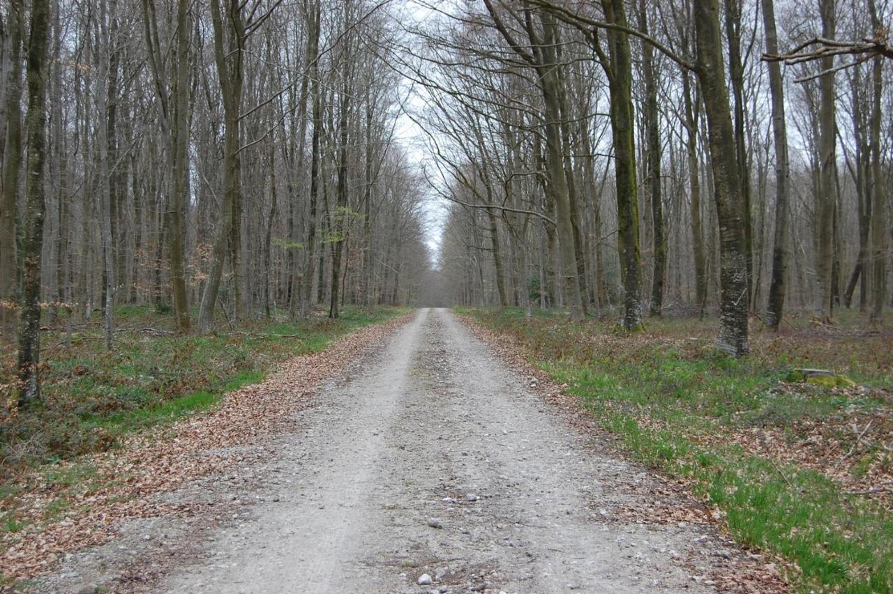 Le Petit Gite De La Varenne Saint-Hellier Экстерьер фото